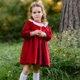 Velvet Dress with Frilly Collar