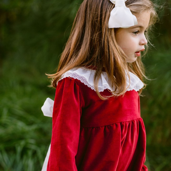 Velvet Dress with Frilly Collar