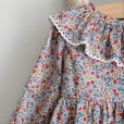 Liberty Short Dress with Bloomers