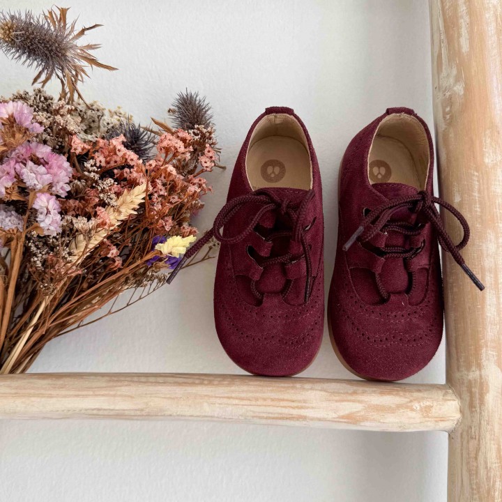 Burgundy Suede Shoes